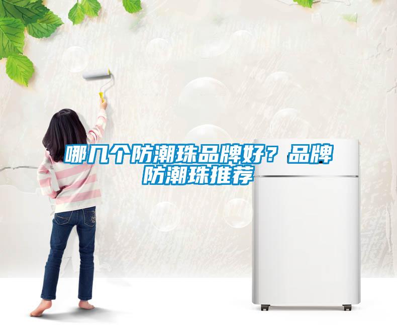 哪幾個防潮珠品牌好？品牌防潮珠推薦