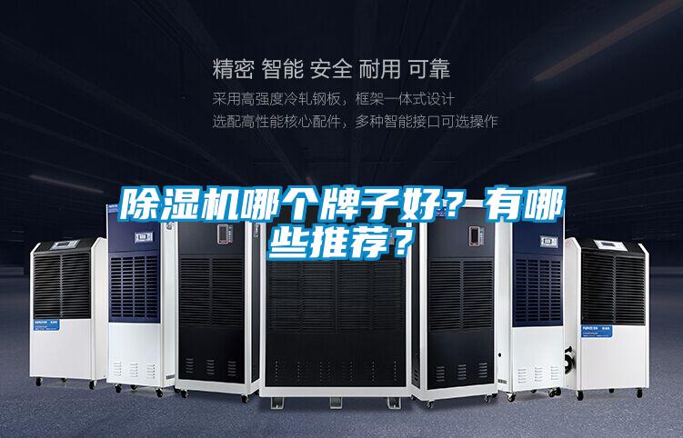 除濕機哪個牌子好？有哪些推薦？