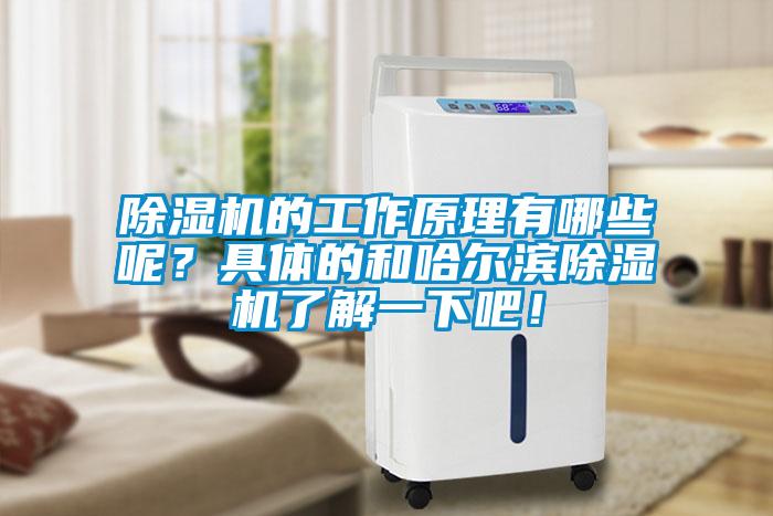 除濕機的工作原理有哪些呢？具體的和哈爾濱除濕機了解一下吧！