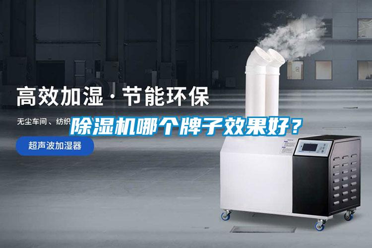 除濕機哪個牌子效果好？