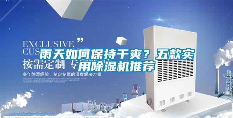 雨天如何保持干爽？五款實用除濕機推薦