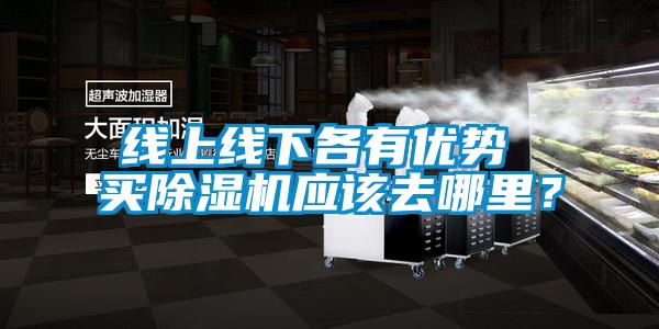 線上線下各有優(yōu)勢(shì) 買除濕機(jī)應(yīng)該去哪里？