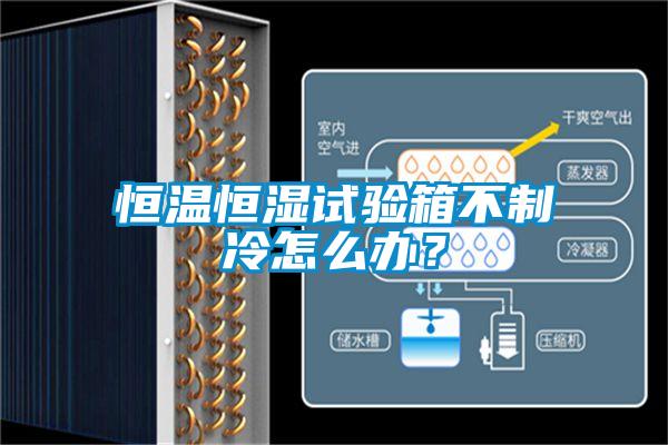 恒溫恒濕試驗箱不制冷怎么辦？