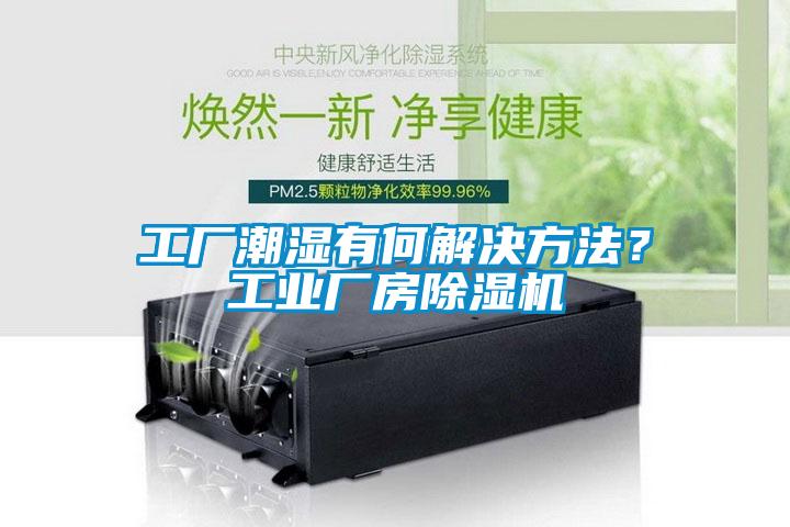 工廠潮濕有何解決方法？工業(yè)廠房除濕機(jī)