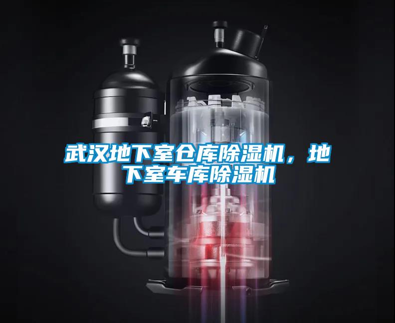 武漢地下室倉庫除濕機，地下室車庫除濕機