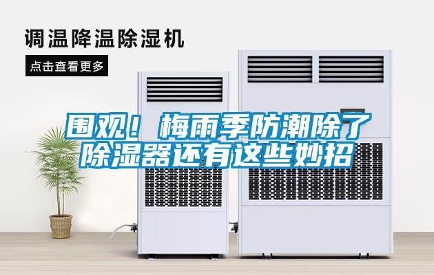 圍觀(guān)！梅雨季防潮除了除濕器還有這些妙招