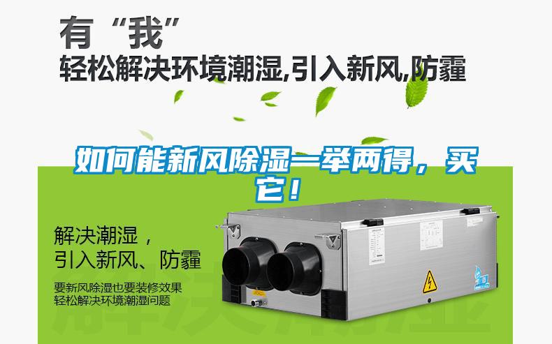 如何能新風除濕一舉兩得，買它！