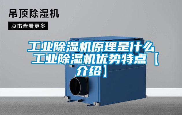 工業(yè)除濕機(jī)原理是什么 工業(yè)除濕機(jī)優(yōu)勢(shì)特點(diǎn)【介紹】