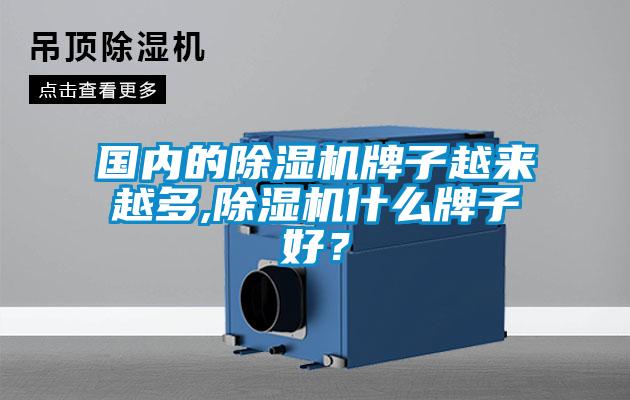 國內(nèi)的除濕機(jī)牌子越來越多,除濕機(jī)什么牌子好？