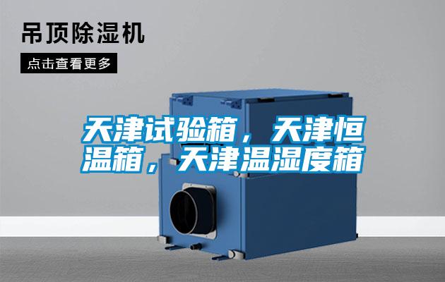 天津試驗箱，天津恒溫箱，天津溫濕度箱