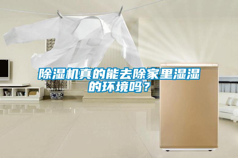 除濕機(jī)真的能去除家里濕濕的環(huán)境嗎？