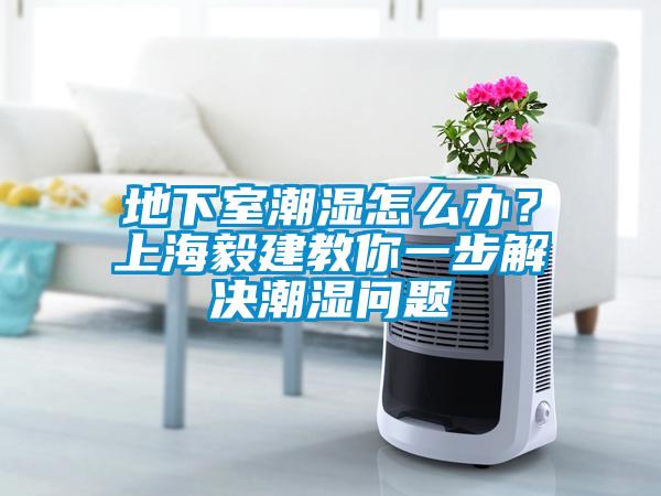 地下室潮濕怎么辦？上海毅建教你一步解決潮濕問題