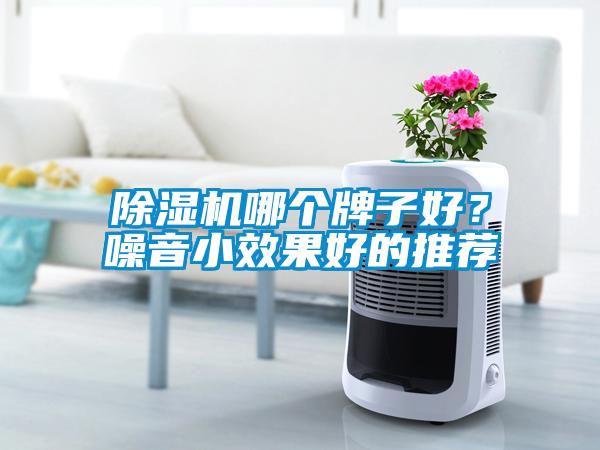 除濕機(jī)哪個(gè)牌子好？噪音小效果好的推薦