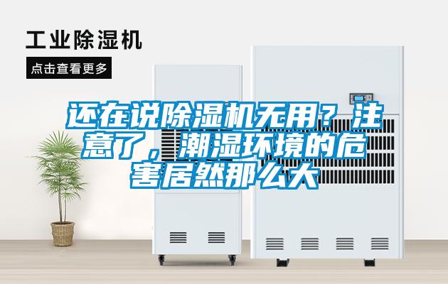 還在說除濕機(jī)無用？注意了，潮濕環(huán)境的危害居然那么大