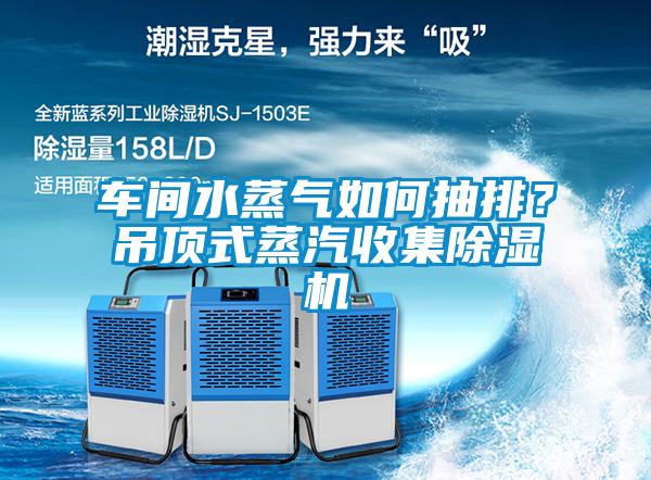 車間水蒸氣如何抽排？吊頂式蒸汽收集除濕機(jī)