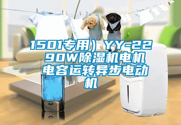 1501專用）YY-22  90W除濕機(jī)電機(jī)  電容運(yùn)轉(zhuǎn)異步電動機(jī)