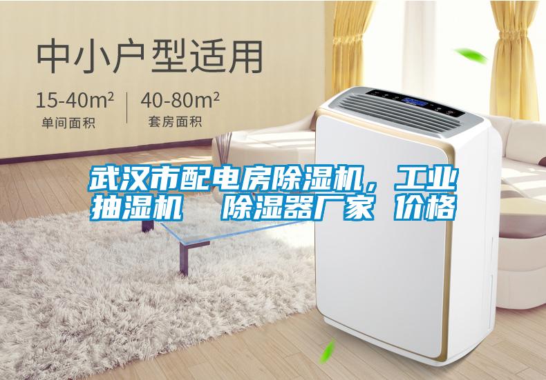 武漢市配電房除濕機(jī)，工業(yè)抽濕機(jī)  除濕器廠家 價(jià)格