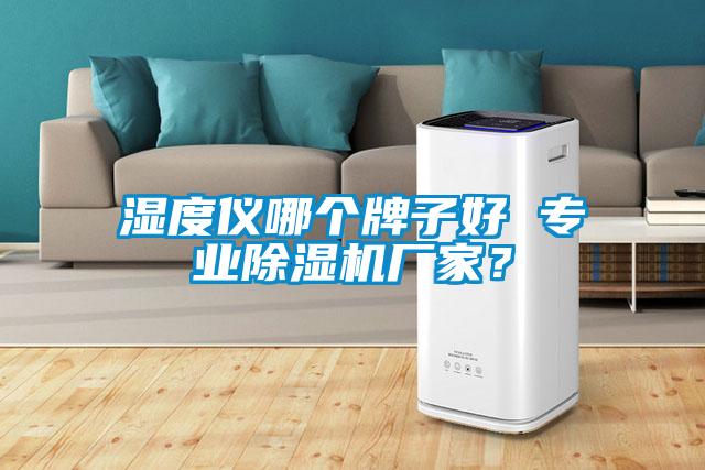 濕度儀哪個牌子好 專業(yè)除濕機廠家？