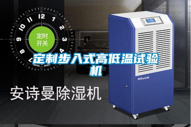 定制步入式高低溫試驗機(jī)
