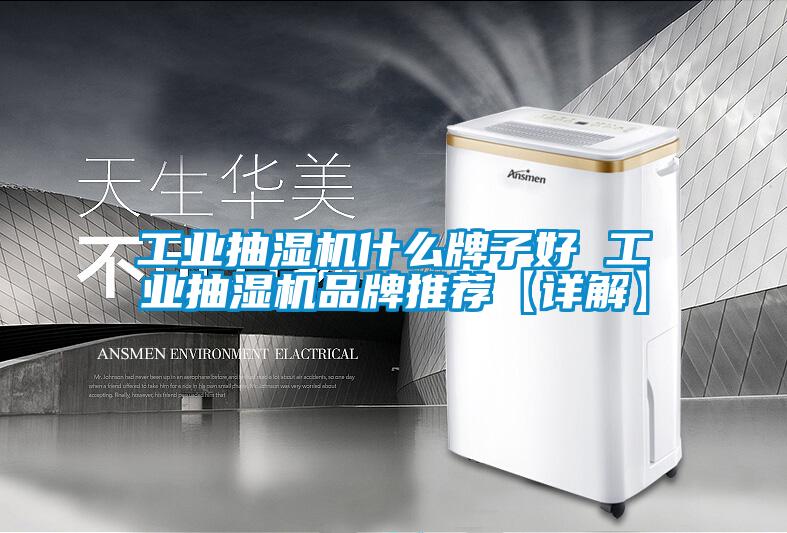 工業(yè)抽濕機什么牌子好 工業(yè)抽濕機品牌推薦【詳解】