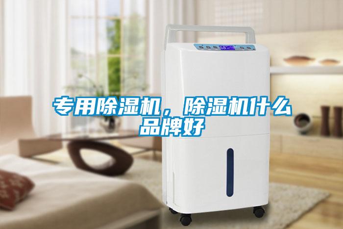 專(zhuān)用除濕機(jī)，除濕機(jī)什么品牌好