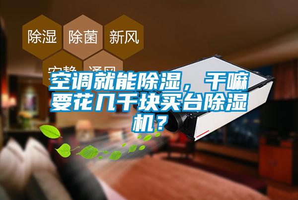空調(diào)就能除濕，干嘛要花幾千塊買臺除濕機？