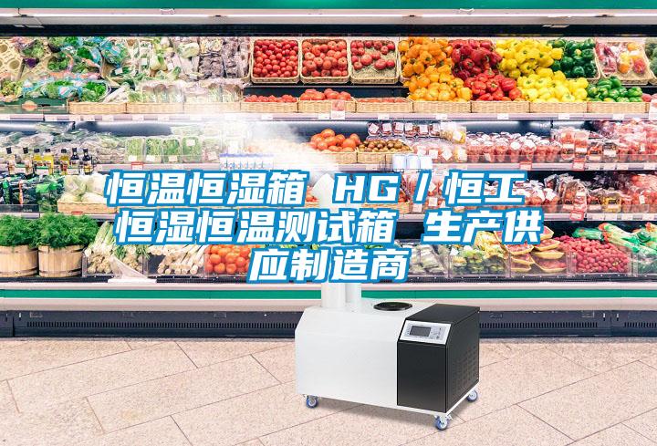 恒溫恒濕箱 HG／恒工 恒濕恒溫測試箱 生產(chǎn)供應制造商