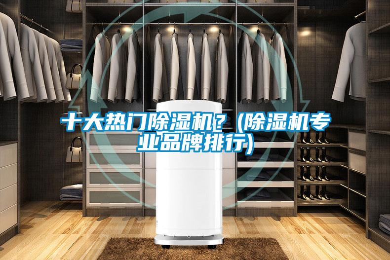 十大熱門除濕機(jī)？(除濕機(jī)專業(yè)品牌排行)