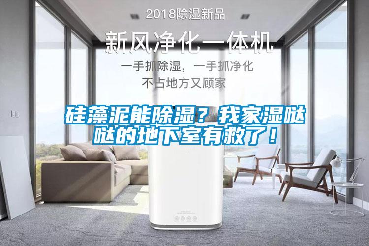 硅藻泥能除濕？我家濕噠噠的地下室有救了！