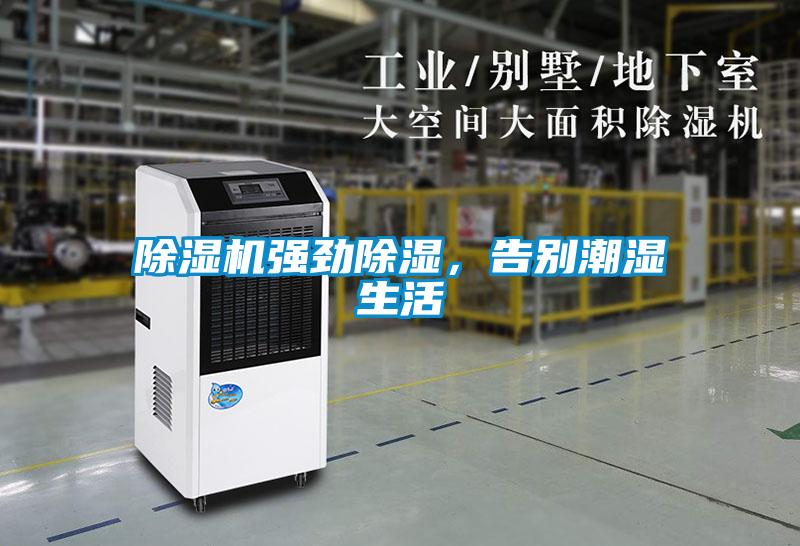 除濕機強勁除濕，告別潮濕生活