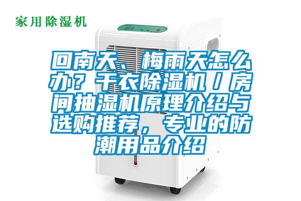 回南天、梅雨天怎么辦？干衣除濕機(jī)／房間抽濕機(jī)原理介紹與選購?fù)扑]，專業(yè)的防潮用品介紹
