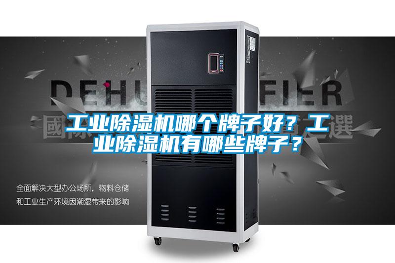 工業(yè)除濕機(jī)哪個(gè)牌子好？工業(yè)除濕機(jī)有哪些牌子？