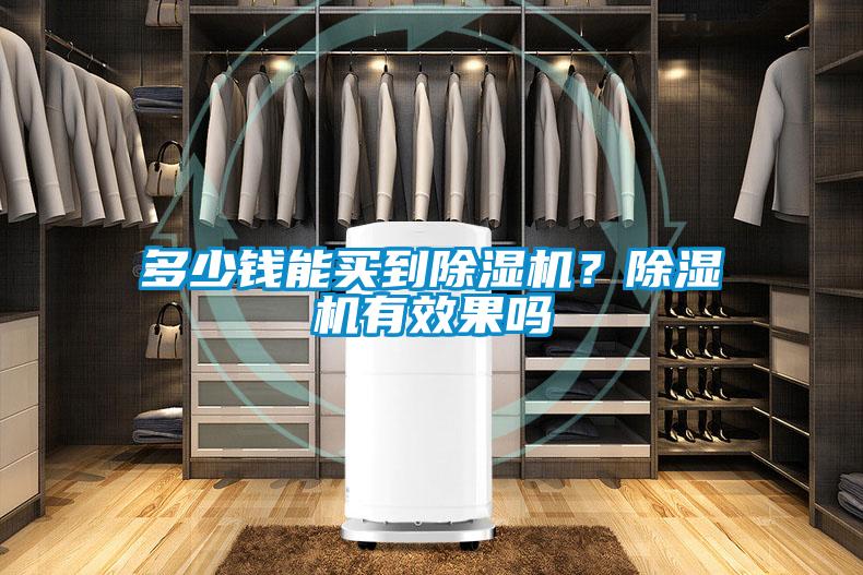 多少錢能買到除濕機(jī)？除濕機(jī)有效果嗎