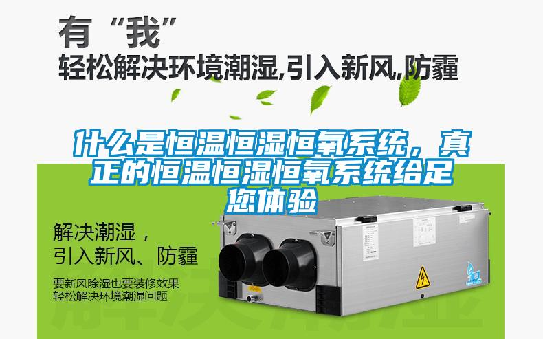 什么是恒溫恒濕恒氧系統(tǒng)，真正的恒溫恒濕恒氧系統(tǒng)給足您體驗