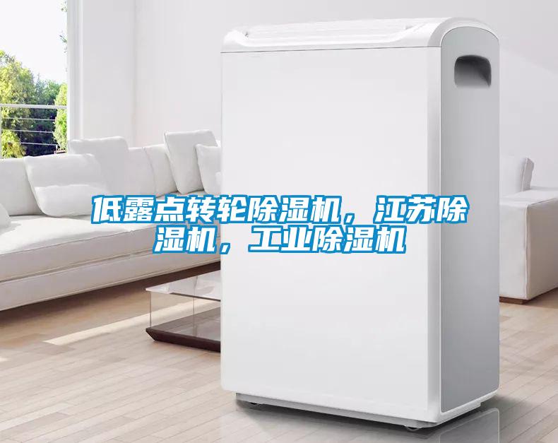 低露點轉(zhuǎn)輪除濕機，江蘇除濕機，工業(yè)除濕機