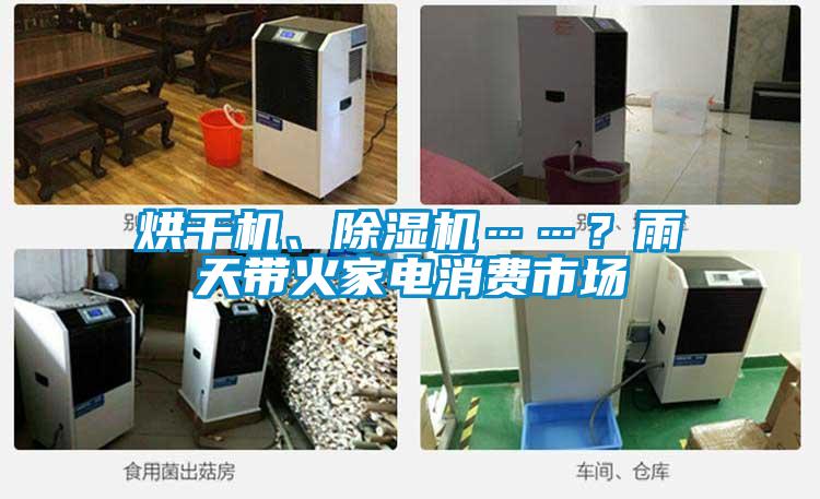烘干機(jī)、除濕機(jī)……？雨天帶火家電消費市場