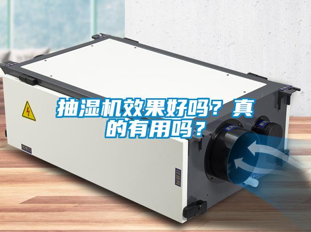 抽濕機效果好嗎？真的有用嗎？