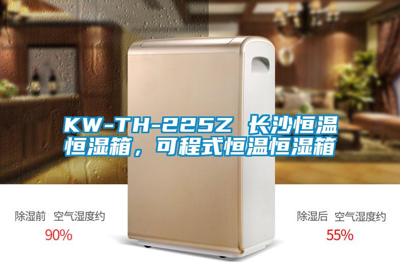 KW-TH-225Z 長沙恒溫恒濕箱，可程式恒溫恒濕箱