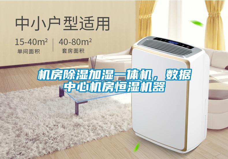 機(jī)房除濕加濕一體機(jī)，數(shù)據(jù)中心機(jī)房恒濕機(jī)器