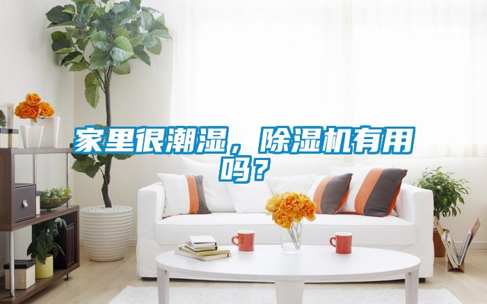 家里很潮濕，除濕機(jī)有用嗎？