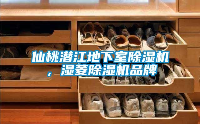 仙桃潛江地下室除濕機，濕菱除濕機品牌