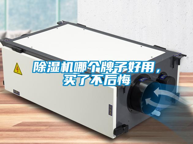 除濕機(jī)哪個(gè)牌子好用，買(mǎi)了不后悔