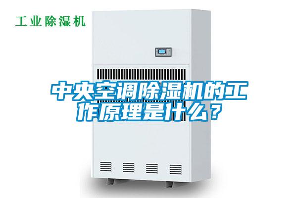 中央空調(diào)除濕機的工作原理是什么？