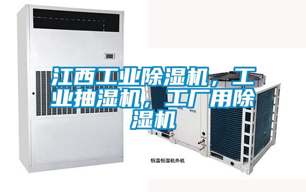 江西工業(yè)除濕機(jī)，工業(yè)抽濕機(jī)，工廠用除濕機(jī)