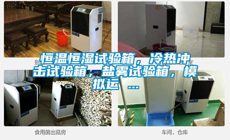 恒溫恒濕試驗箱，冷熱沖擊試驗箱，鹽霧試驗箱，模擬運 ...