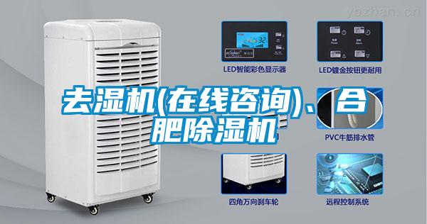 去濕機(jī)(在線咨詢)、合肥除濕機(jī)