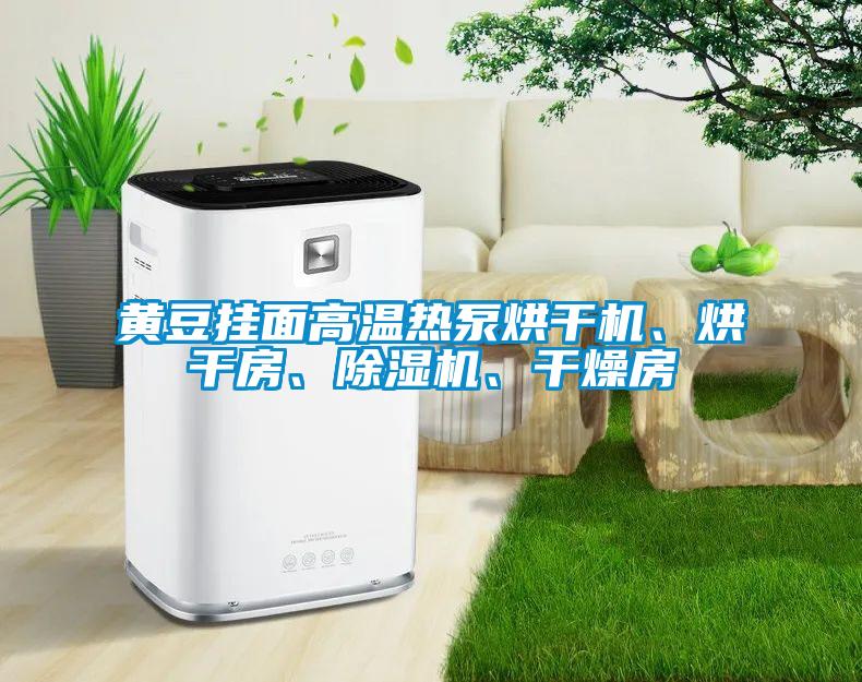 黃豆掛面高溫熱泵烘干機、烘干房、除濕機、干燥房