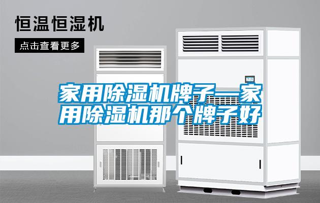 家用除濕機(jī)牌子—家用除濕機(jī)那個牌子好