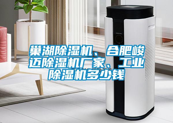 巢湖除濕機(jī)、合肥峻邁除濕機(jī)廠家、工業(yè)除濕機(jī)多少錢