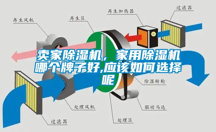 賣家除濕機，家用除濕機哪個牌子好,應該如何選擇呢